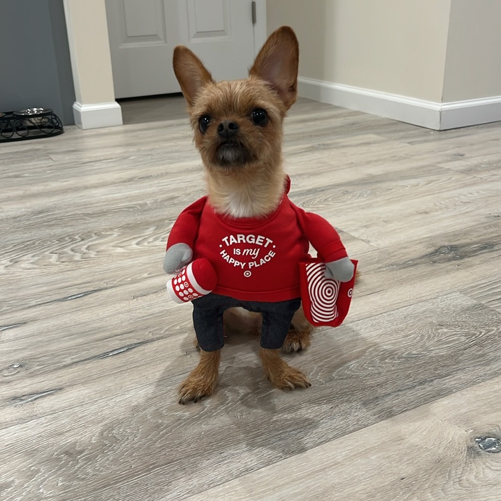 Red Target Dog Outfit with Denim Pants Halloween costume
